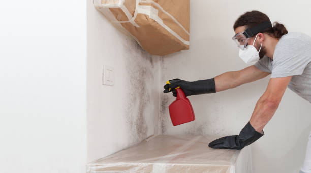 Professional Mold Removal technician working in Freeport, IL